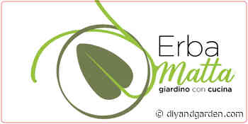 Viridea, "Erba Matta" apre a RHO (MI) - Diyandgarden.com
