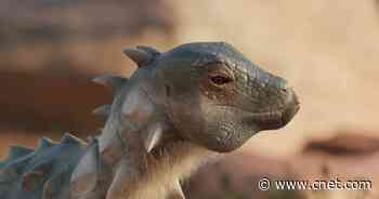 Newly Discovered Armored Dinosaur Species Found in Argentina     - CNET