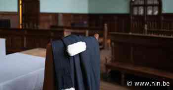 Twintiger krijgt straf met uitstel voor winkeldiefstal | Mechelen | hln.be - Het Laatste Nieuws