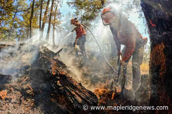 Keremeos Creek blaze stable over the weekend - Maple Ridge News