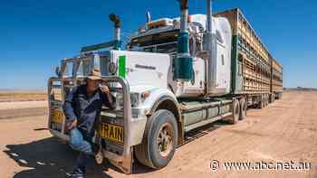 It’s known for treacherous conditions, but money promised to upgrade this road is nowhere to be seen