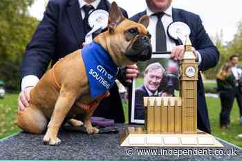 Westminster Dog of the Year to return with award dedicated to late MP Sir David Amess - The Independent