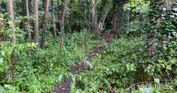 Knuppelpad aan Burgemeester Wambacqstraat wordt heraangelegd - Het Laatste Nieuws