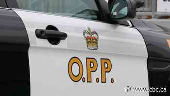 2 Ottawa residents killed in Port Hope, Ont. plane crash - CBC.ca