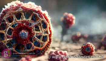 Langya: saiba mais sobre o novo vírus identificado na China - Guia Medianeira