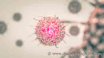 Cancer Cells Most Active During Sleep, Study Finds