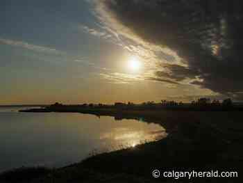 On the Road: Lunarcy - Calgary Herald