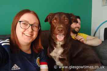 Renfrew woman needed tetanus jab after rescue dog bit her - Glasgow Times