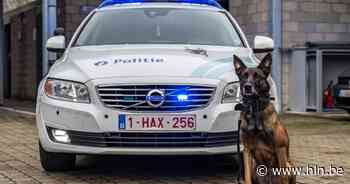 Inbrekers betrapt in frituur: “Politiehond 1 verdachte uit bos gehaald” - Het Laatste Nieuws