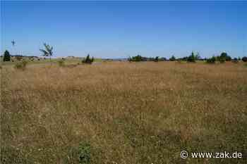 NABU kämpft für Schutz der Rest-Hochfläche auf dem Plettenberg und hofft auf Gemeinde Dotternhausen - Zollern-Alb-Kurier