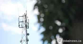 Rural communities in the Kingston, Ont. region hope faster internet is on the horizon - Global News