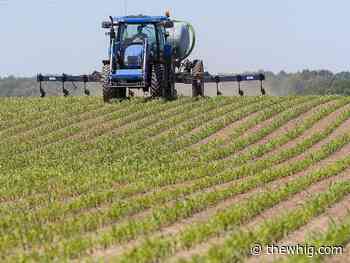 Open Farms back in Kingston, Frontenac County this September - The Kingston Whig-Standard