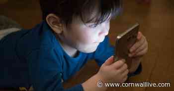 Bouncy castles can reduce children's dependence on mobile phones, research says - Cornwall Live