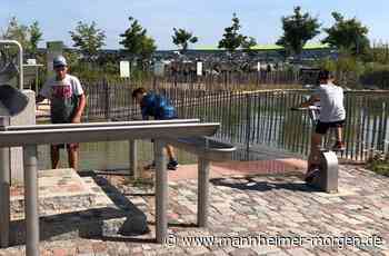 Umweltbildung auf spielerische Weise - Mannheimer Morgen