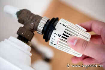 So viel kostet die Gasumlage pro Kilowattstunde - TAGEBLATT: Nachrichten aus Stade, Buxtehude und der Region - Tageblatt-online