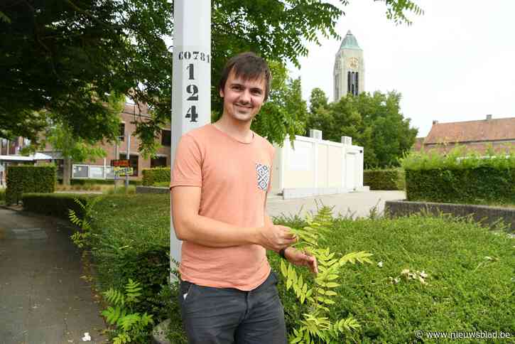 Exotische planten bedreigen inheemse soorten: Antwerpse ecoloog waarschuwt voor neveneffect van hitte