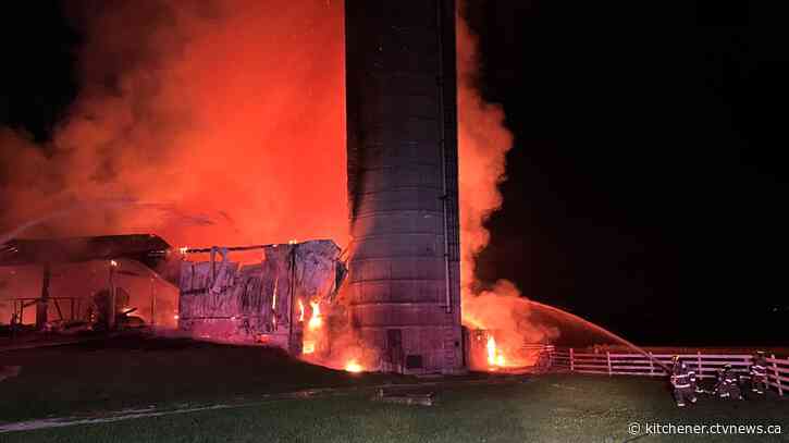 Over 60 cattle killed in barn fire near Alma, Ont. - CTV News Kitchener