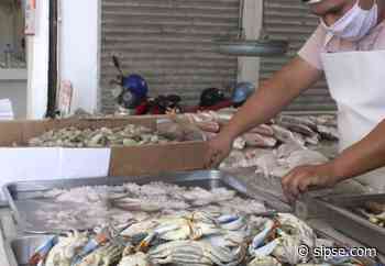 Yucatán: locatarios de pescaderías aseguran que sus productos son certificados y libres de contaminación - sipse.com