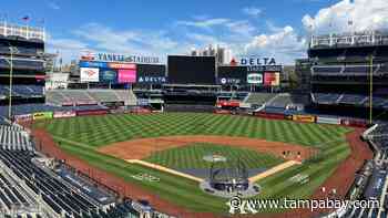 Brandon Lowe back in Rays’ lineup vs. Yankees - Tampa Bay Times