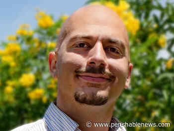 Index Fresh Adds Brandon Rossi to Sales Team - PerishableNews