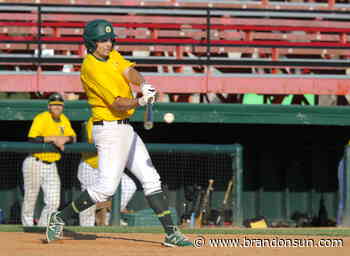 Young Guns take Game 1 over Cards – Brandon Sun - The Brandon Sun