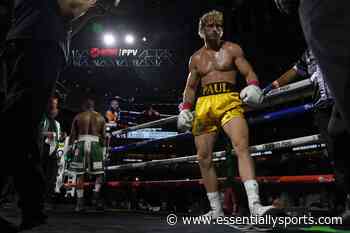 Potential Dillon Danis Boxing Match Pegged to Be “Winnable Fight” for Logan Paul - EssentiallySports