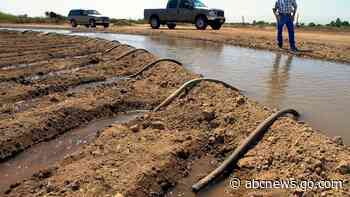 Deadline looms for drought-stricken states to cut water use