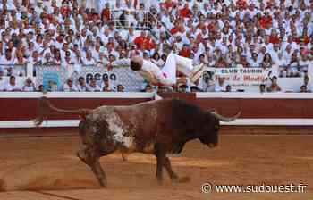 Vidéo. Feria de Dax 2022. Quand le sauteur Kévin Ribeiro s’est envolé au-dessus d’un toro de Miura - Sud Ouest