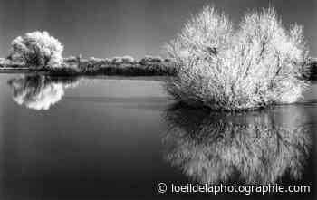Taunus Foto Galerie : Monochrome Perspectives : Roman Loranc - Oliver Miller - The Eye of Photography