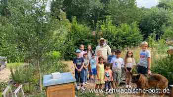 Im Schaugarten zu Besuch bei einer Königin - Schwäbische Post