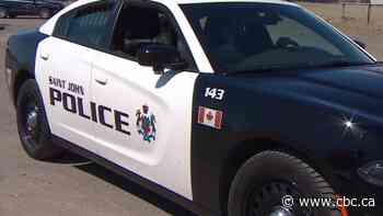 Saint John police investigating after hiker discovers human remains - CBC.ca