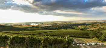 »Wine Vision«: Erste internationale Weinmesse des offenen Balkans