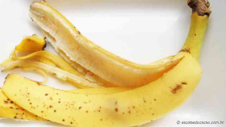 Do lixo ao luxo: Como casca de banana pode ser base para receitas incríveis - Escola Educação