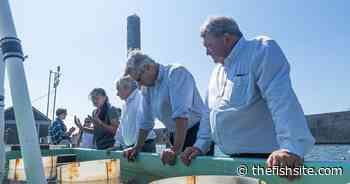 Rhode Island's oyster sector gets US government boost - The Fish Site