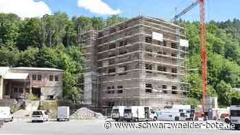 Wirtschaft in Rottweil - Neues Projekt der trendfactory – Gewächshaus für Gründer - Schwarzwälder Bote