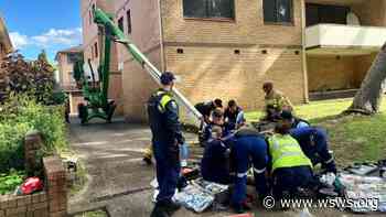 Australia: Worker seriously injured in four-storey fall in south Sydney - WSWS