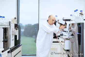 Research leadership lauded in global rankings - University of Sydney