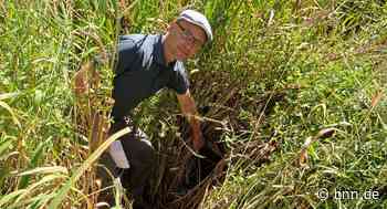 So hilft der Forst in Baden-Baden Kröten und Fröschen durch die Dürre - BNN - Badische Neueste Nachrichten