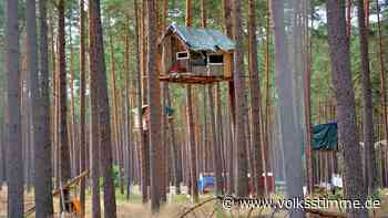 A14-Gegner: Waldbrandstufe 5: Waldbesetzer müssen den Losser Forst verlassen - Volksstimme