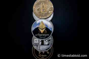 Can Pugglit Inu (PUGT) Outperform Cardano (ADA)? Here’s What You Need To Know - Times Tabloid