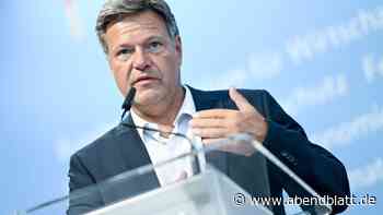 Bundeswirtschaftsminister: Habeck treibt Planungen für deutsche LNG-Terminals voran
