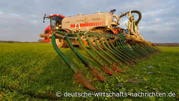 Landwirtschaft in Not: Mist ersetzt mineralischen Dünger