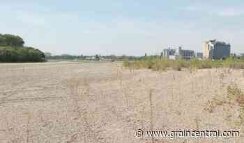 Low European river levels cause logistics turmoil - Grain Central