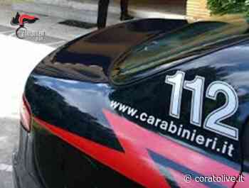 Agriturismi e strutture ricettive di Bari e Bat passate al tappeto dai Nas dei carabinieri. Raffica di multe - CoratoLive.it