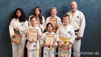 Erfolgreiche Kup-Prüfungen beim Taekwon-Do Dojang e.V. - Attendorner Geschichten
