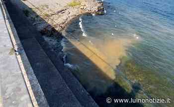 Luino, un numero di telefono per segnalare gli sversamenti nel lago - Luino Notizie