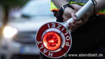 Verkehrskontrolle: Polizeihündin stellt flüchtenden Autofahrer auf einem Baum