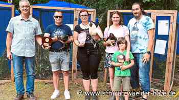 Wettbewerb in Schramberg - Die Hähne krähen sich die Seele aus dem Leib - Schwarzwälder Bote