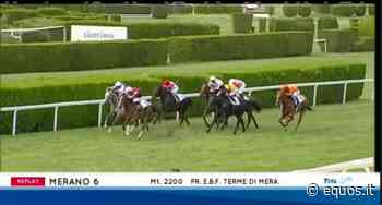 Merano: Norge e Panjari, dominio tedesco a Maia. Il report delle migliori corse – Equos - Equos