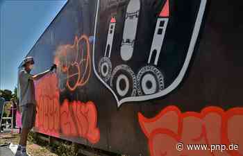 Jugendliche verschönern Skatepark mit Kunst aus der Dose - Passauer Neue Presse - PNP.de